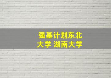 强基计划东北大学 湖南大学